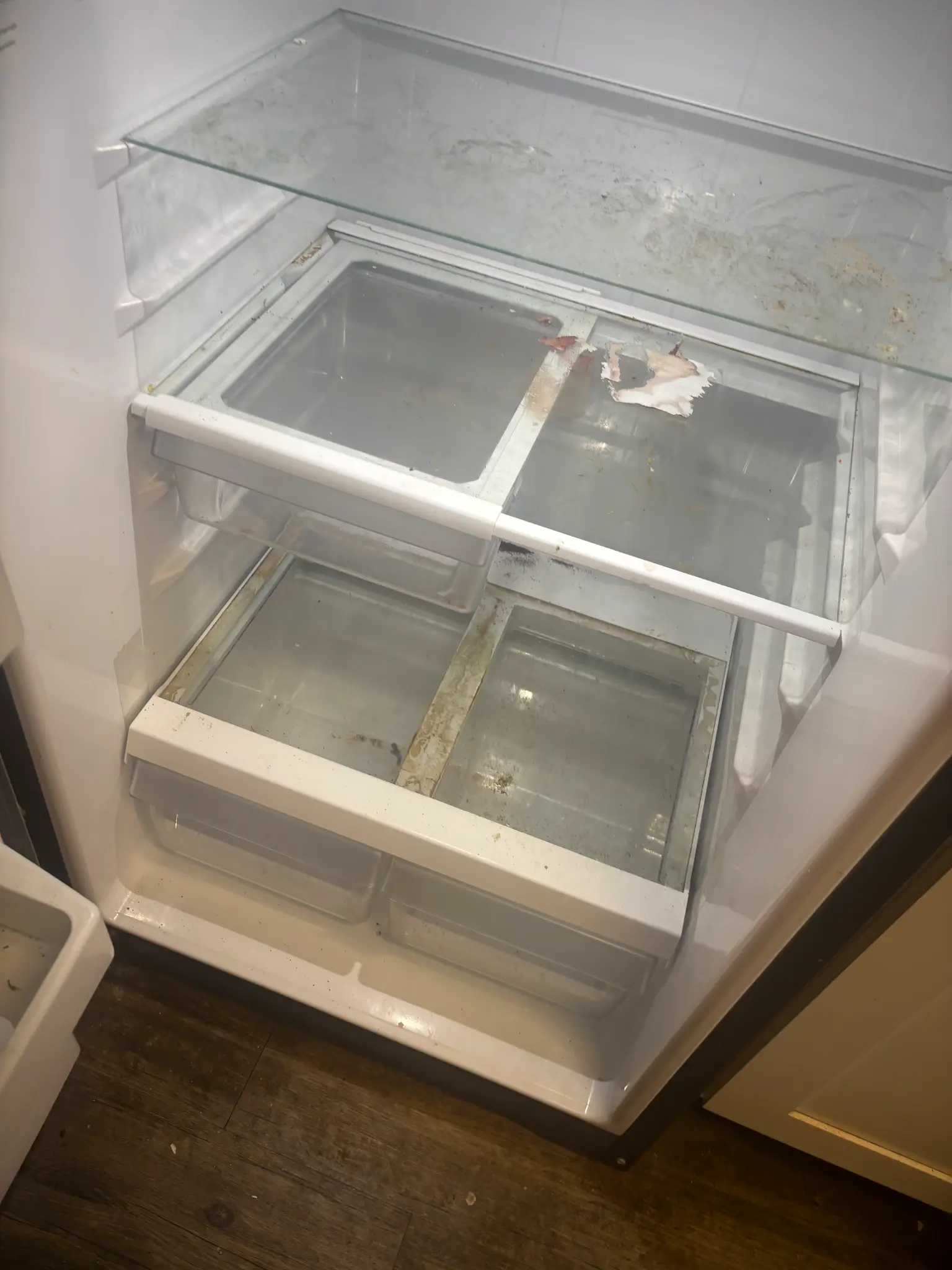 Refrigerator Restoration - Before